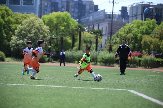 2026年法网单打正赛名单公布 郑钦文等5名中国球员入围